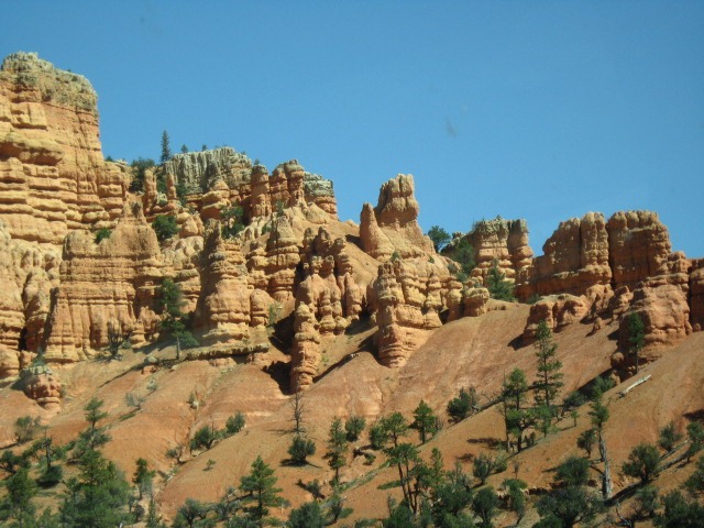 [IMG_0305%255B3%255D.jpg]