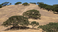 DSC02980.jpg