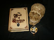 Candle And Scull