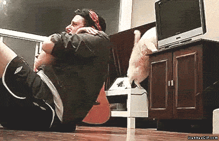 [1a291c2ca6888e11309dea82540%5B3%5D.gif]