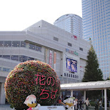 tokyo game show 2009 in japan in Tokyo, Tokyo, Japan