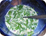 DSCN0844