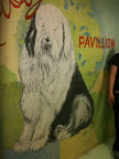 The shelter was covered with signs of love and appreciation for it's residents!