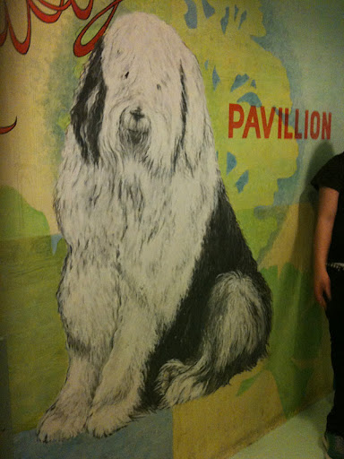 The shelter was covered with signs of love and appreciation for it's residents!