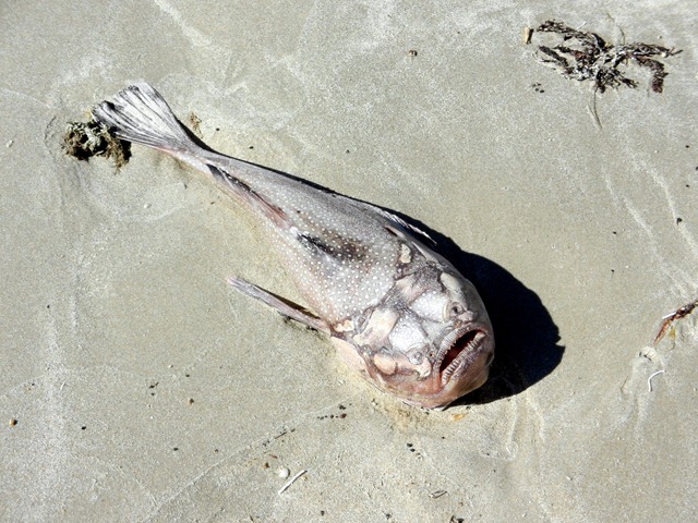 [DSCN0549%255B2%255D.jpg]