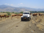 p1255576444(7).jpg