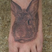 Rabbit Foot