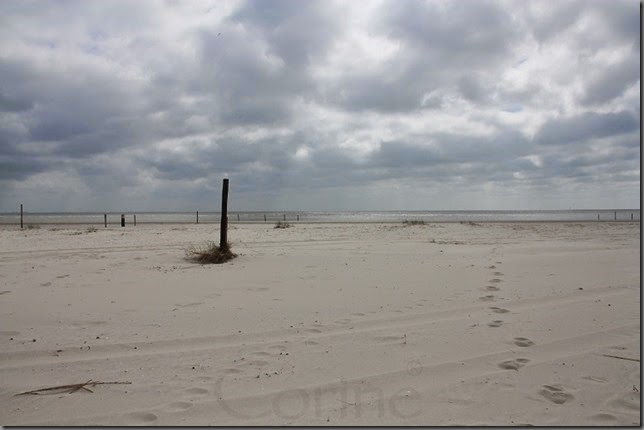 wadstrand wadstrand