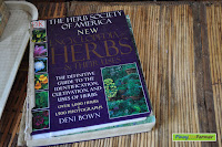san jose market palawan 0011.jpg