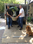 The plants have survived the journey, thank goodness!  Hey guys, be careful with that alocasia!  Ryan wrapped its leaves so they wouldn't get damaged during transport.