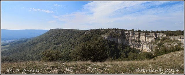 pano5 pano5