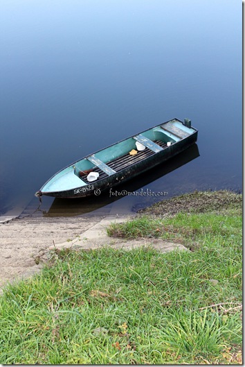 IMG_3238_watermark IMG_3238_watermark