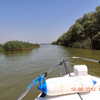 DSCN0203.JPG