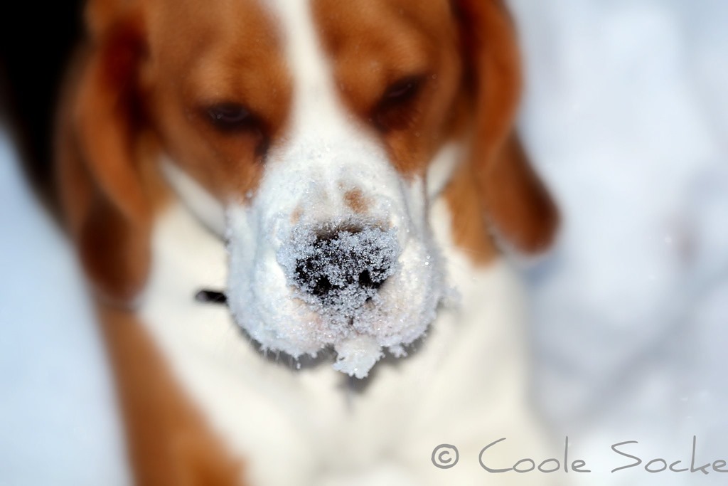 [IMG_8044%255B4%255D.jpg]