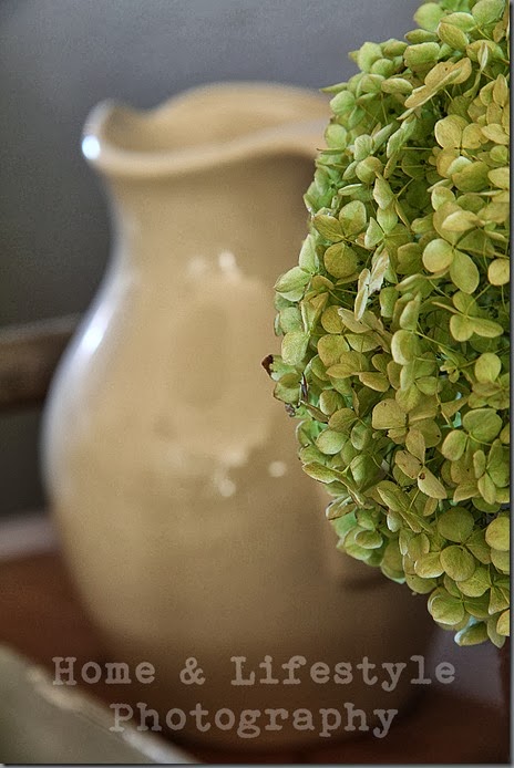 Home & Lifestyle Home & Lifestyle