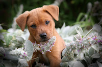 IMG_1802-Edit.jpg