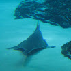 me and B trip to boston and ga aquarium 158.JPG