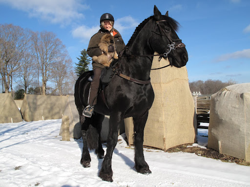 Hey, wait a minute!  Martha, we were setting the ground rules for this new pup and look what you've gone and done!  Ghenghis Khan will start to feel superior to us if you treat him so well!  I know that Ghenghis Khan, the Mongolian, was quite a horsebak rider but, this is ridiculous!