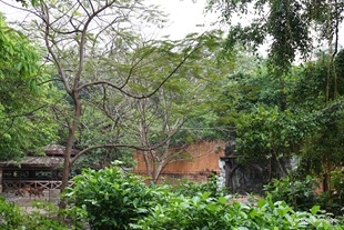 [IMG_3510%255B3%255D.jpg]