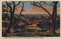 Vintage Grand Canyon postcard
