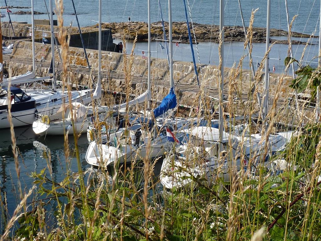 [P1030633-Medium3.jpg]