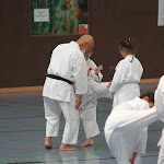 H25D2698.JPG