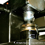 IMG_2956.jpg