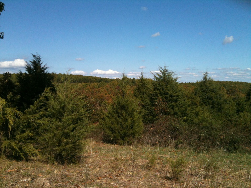 [IMG_1041%255B3%255D.jpg]