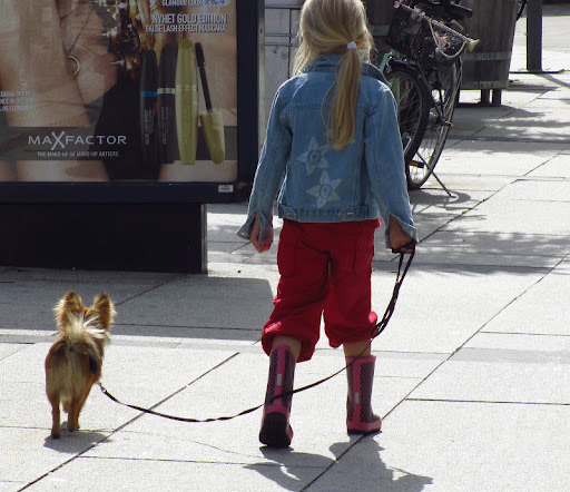 I'm thinking these little Swedes might answer to: 