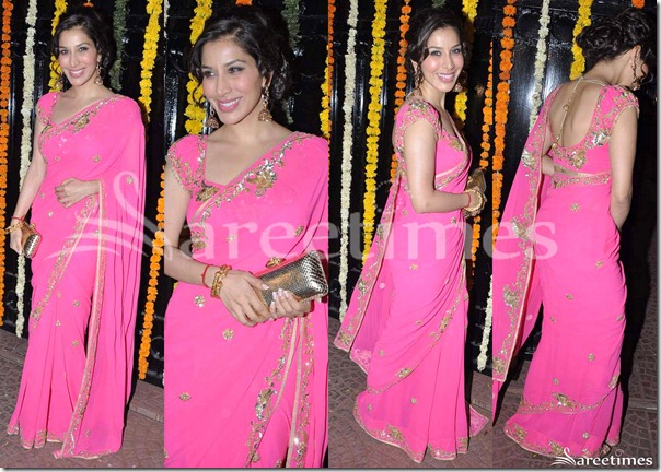 Sophie_Chaudhary_Pink_Saree