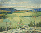 Daländsk landsbygd art nr 20057. Mått ink. ram 73x63 olja på pannå. Signerad