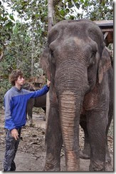 Laos Luang Prabang Elephant mahout course 140202_0082