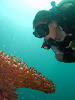  Koh Lipe Resimleri Fotoğrafları
