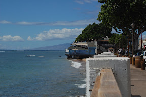 DSC_0124.JPG