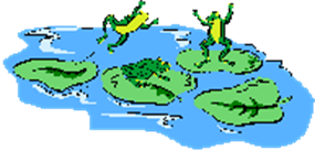 frogs playing