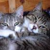 Miro e Mistral.jpg
