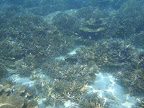 DSC00285.JPG