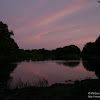 dsc03857.jpg