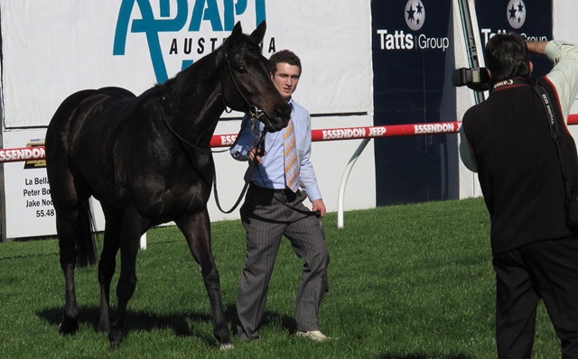 [race5_winner_kneeling%255B4%255D.jpg]