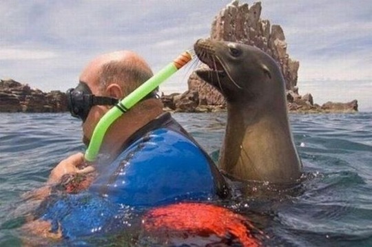 [viral-picdump-pics-28%255B2%255D.jpg]