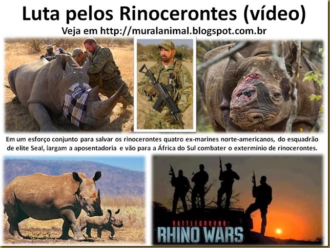 Luta pelos Rinocerontes (vídeo)
