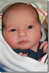 IMG_1109 IMG_1109