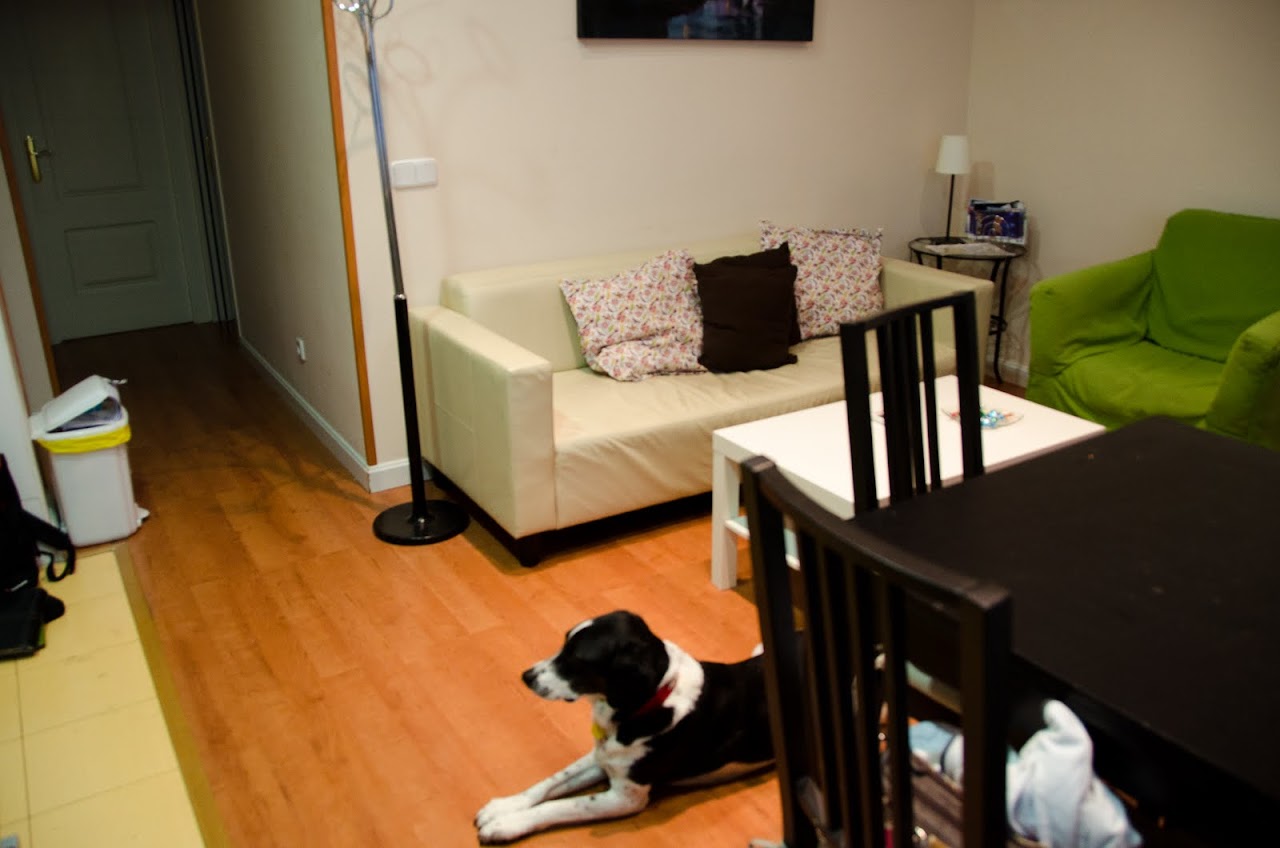 Madrid Pet-Friendly Vacation Rental