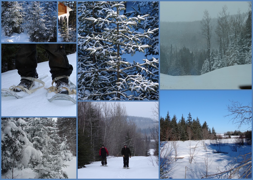 [Buck%2520Mountain%2520Cabin%252020111%255B3%255D.jpg]