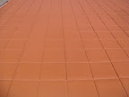 DSC07064.JPG