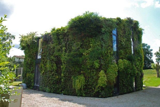 vertical garden by patrick blanc 7