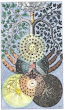 Tree Of Dark And Light From Valentine Weigel Studium Universale 1695