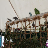 IMG_1016.JPG