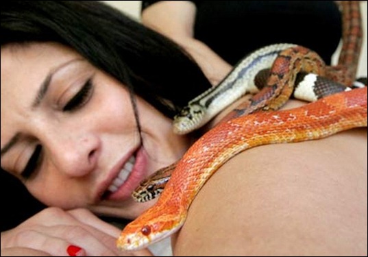 snake05 snake05