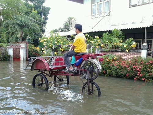 tailandia chuva inundacao criativa desbaratinando httpthai flood hack (13) tailandia chuva inundacao criativa desbaratinando httpthai flood hack (13)